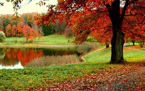 free autumn background wallpaper|free wallpaper backgrounds autumn.